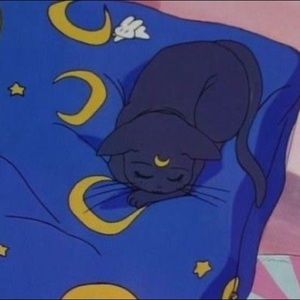 Meet your Posher, Catalina